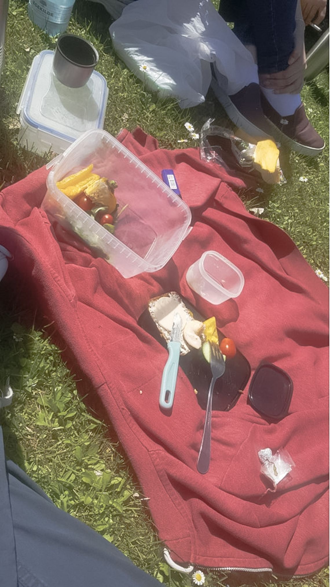 A red blanket on grass with tupperware with food on it.
