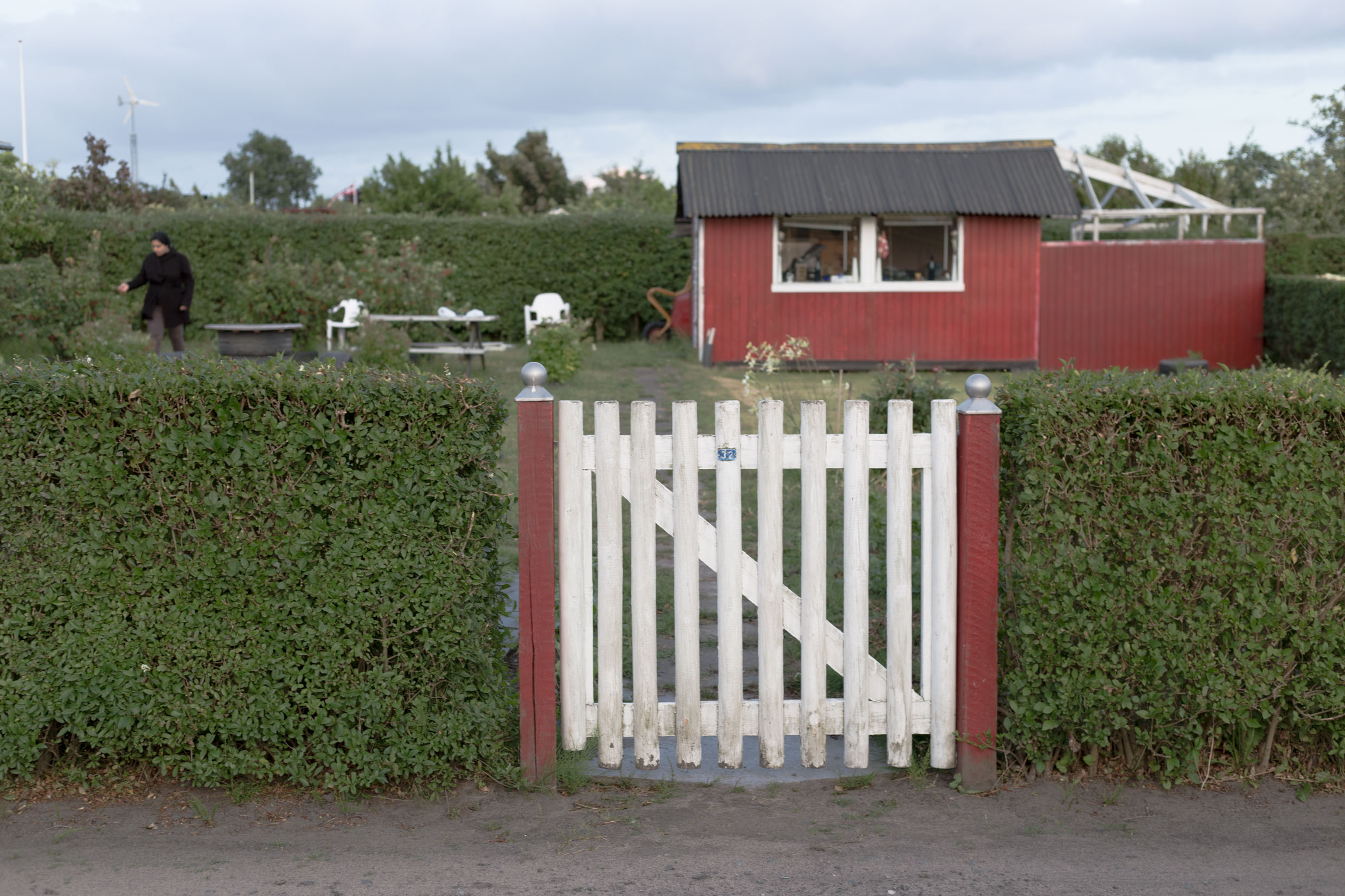 A red garden house behind a hedge and a white fence.